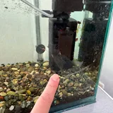 Аквариум с рыбками 2