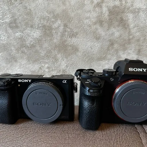 Sony A7 II, Sony A6000