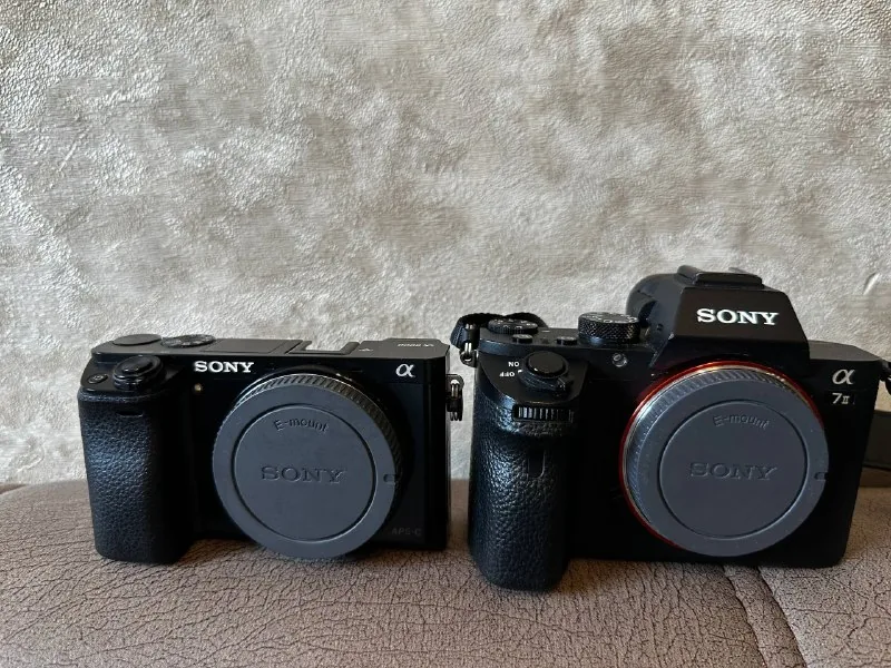 Sony A7 II, Sony A6000