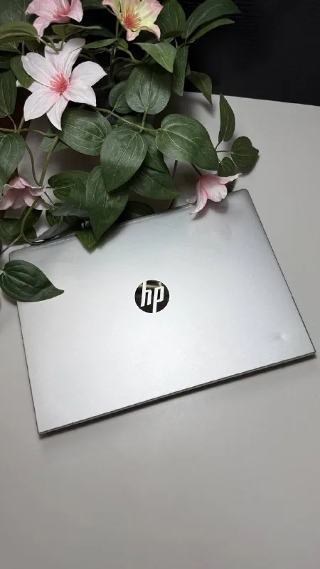 HP Probook 445 G11 14-inch Laptop 1