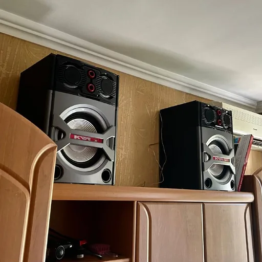 Активные колонки Temeisheng T230