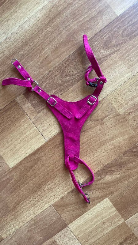 Одежда для собак, шлейка, носочки, намордник 10