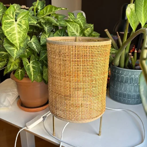 Настольная лампа Albert