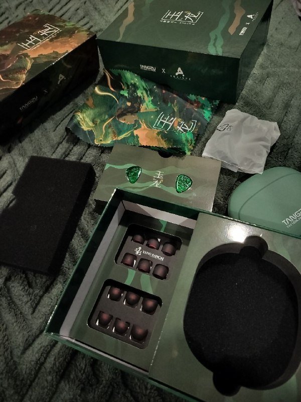 Наушники Tangzu waner sg2