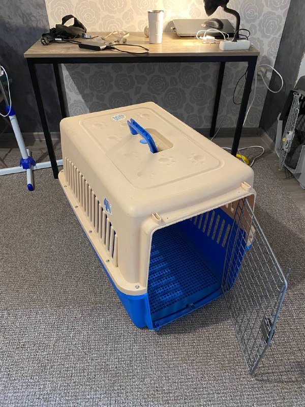 Авиабокс для собак