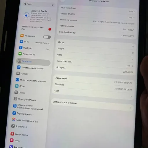 iPad Pro 13 6gen M2 Wi-Fi 256GB