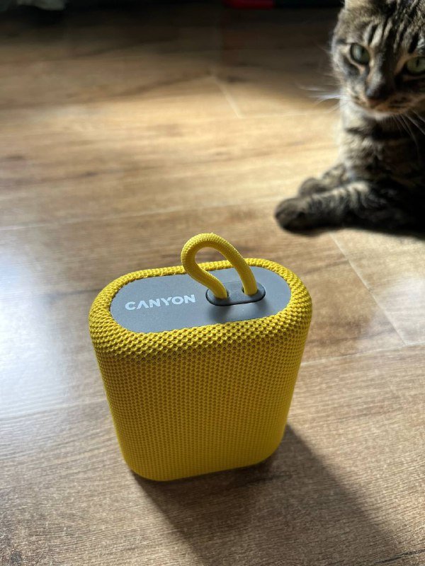 Bluetooth колонка Canyon BSP 4