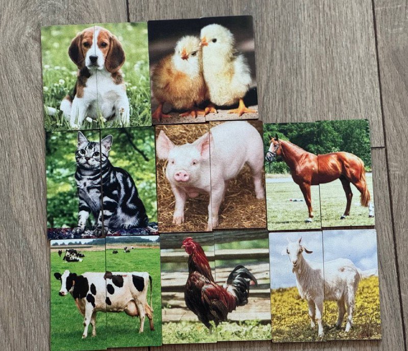 Пазлы-вкладыши и пазлы половинки развивашки 7