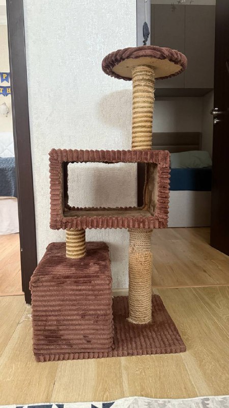Кошачий комплекс-когтеточка