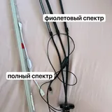 Фитолампы 4