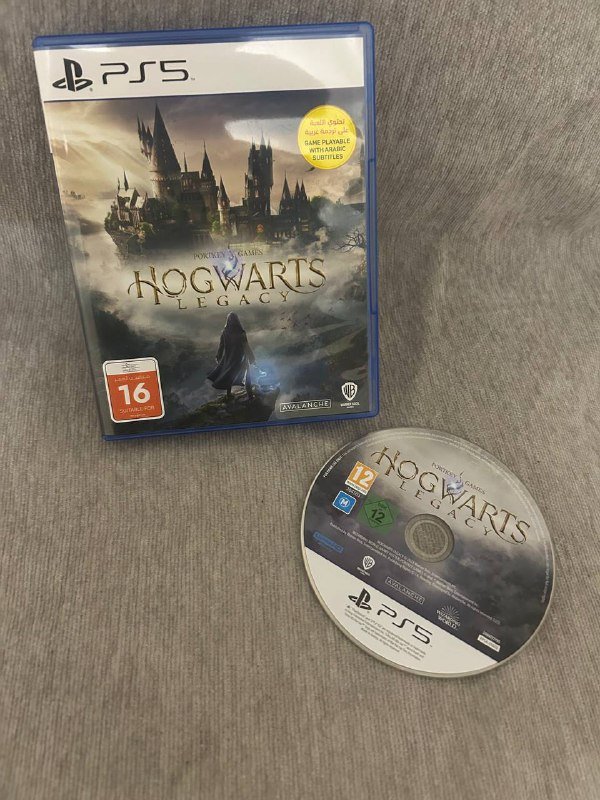 Игра Hogwarts Legacy для PS5 с русскими субтитрами
