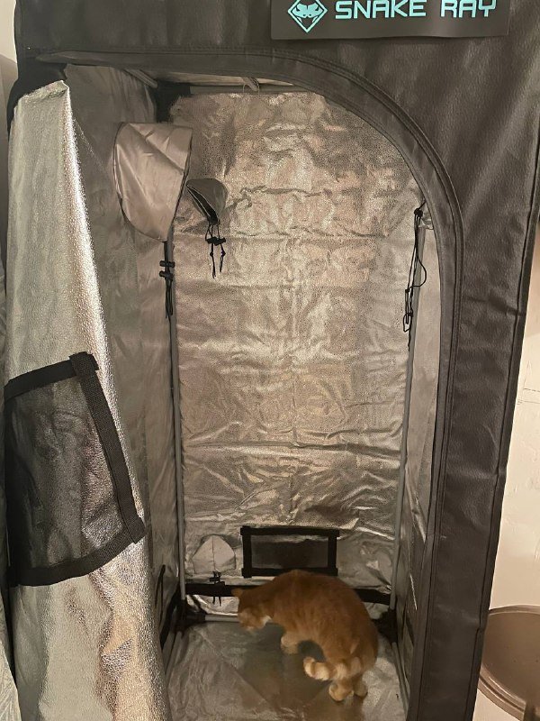 ГроуБокс с лампой, таймером, двумя горшками и тентом