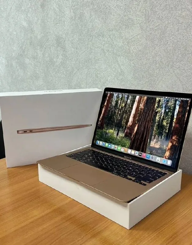 MacBook Air M1 2020 1