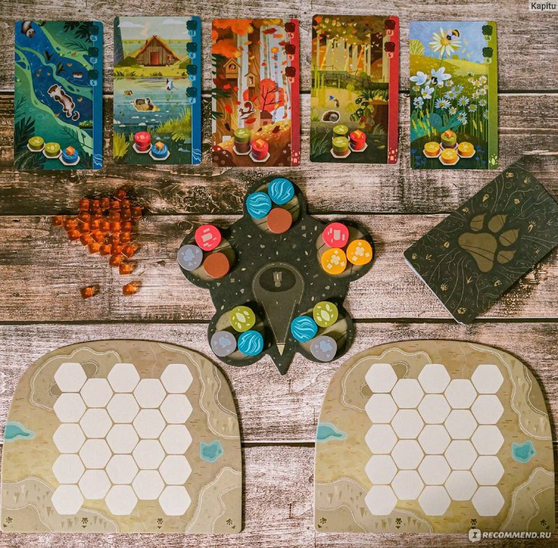 Настольная игра Гармония Harmonies 5
