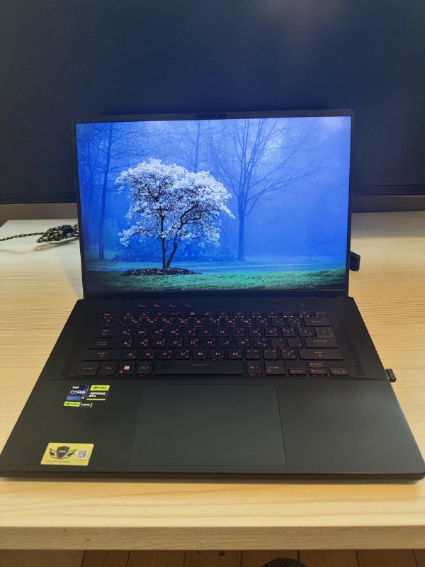 Игровой ноутбук Asus ROG Zephyrus M16 GU604VI