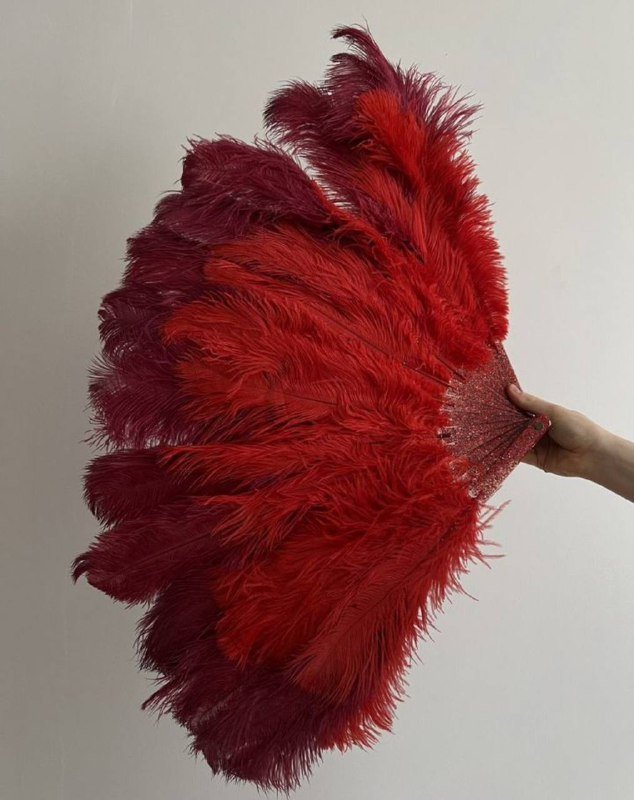 Два шикарных веера для бурлеска 2