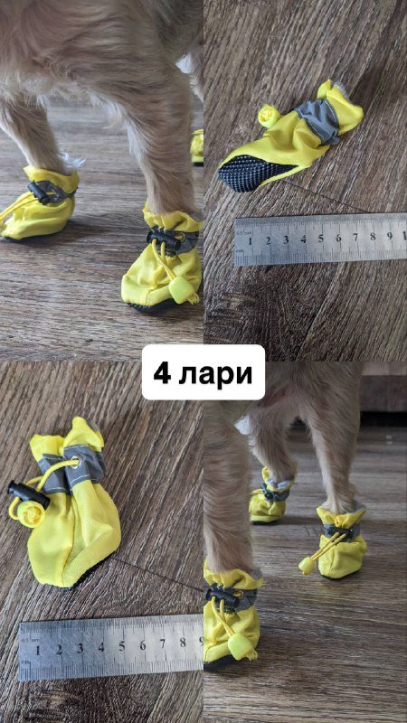 Обувь и носки для маленькой собаки 7