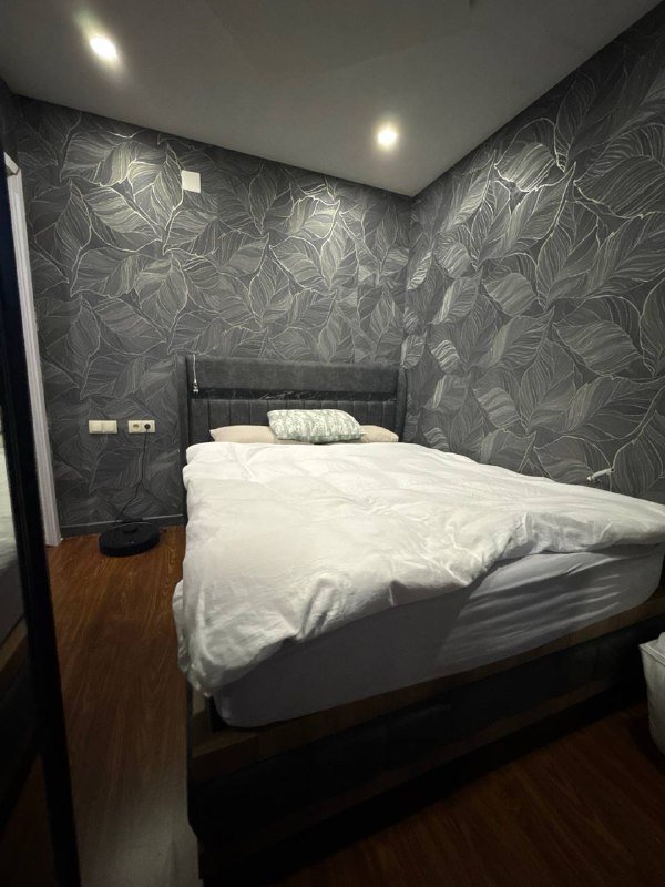 სპალნის ლოგინოდა დიდი კარადით 2