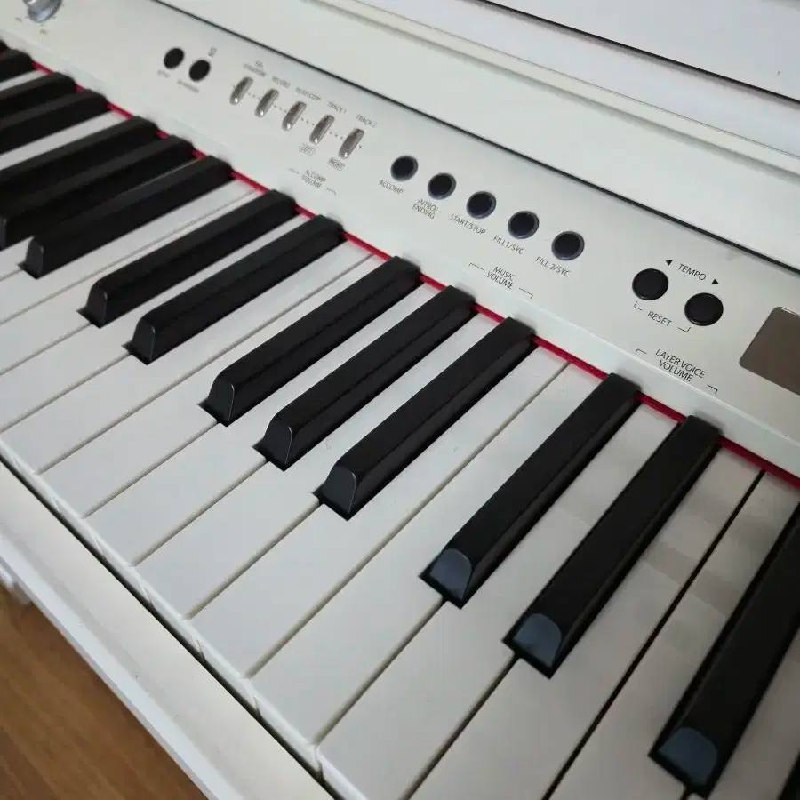 Dynatone DPR-2160S цифровое электронное пианино 2