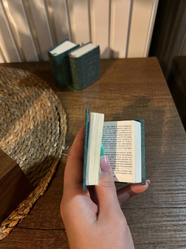 Книга Демон, книга Анна Каренина в миниатюре 3 тома 4