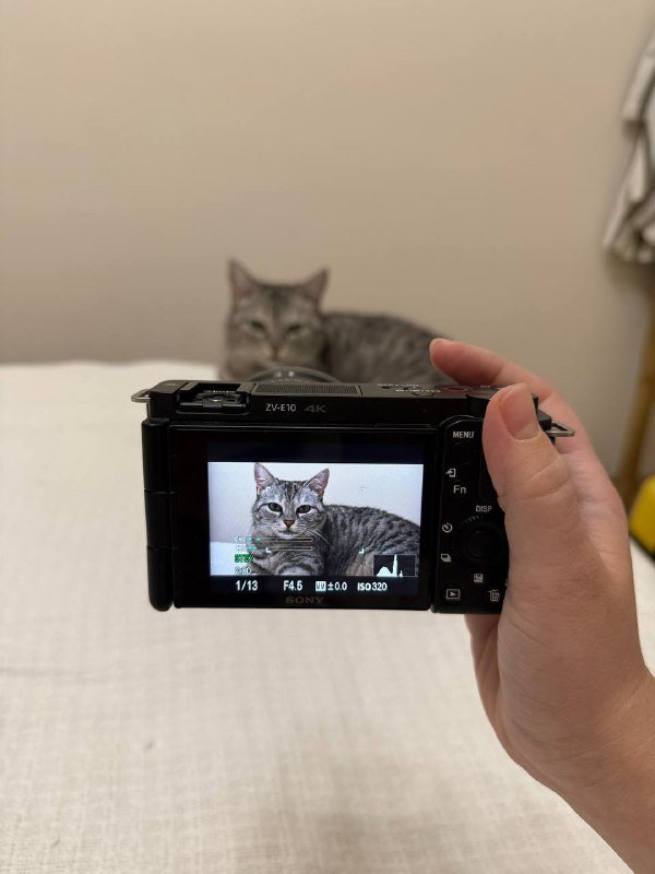 камера sony zv e10