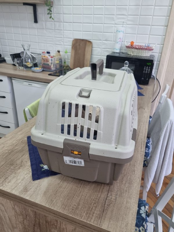 Переноска для котика/небольшой собачки 3