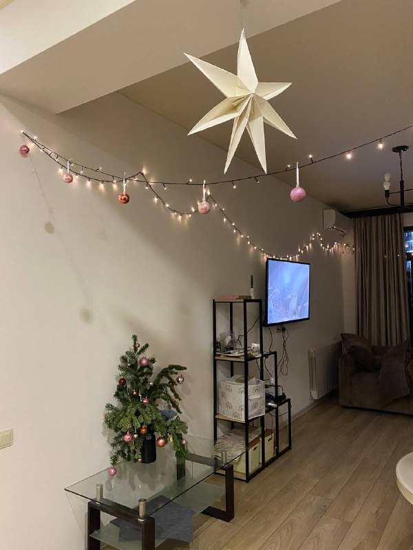 Фен Xiaomi Water Ionic Hair Dryer H500, Новогодние штучки, Гирлянда, Кашпо IKEA 3