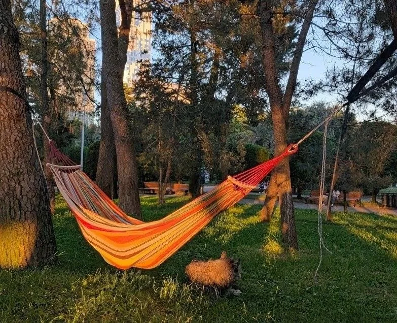 Гамак 1