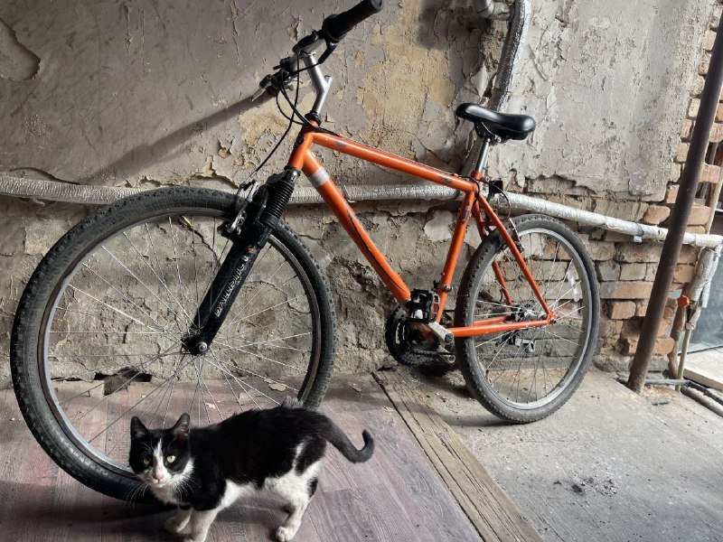 Велосипед Mongoose MGX 26"