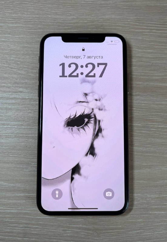 iPhone XS 64 ГБ, чехол