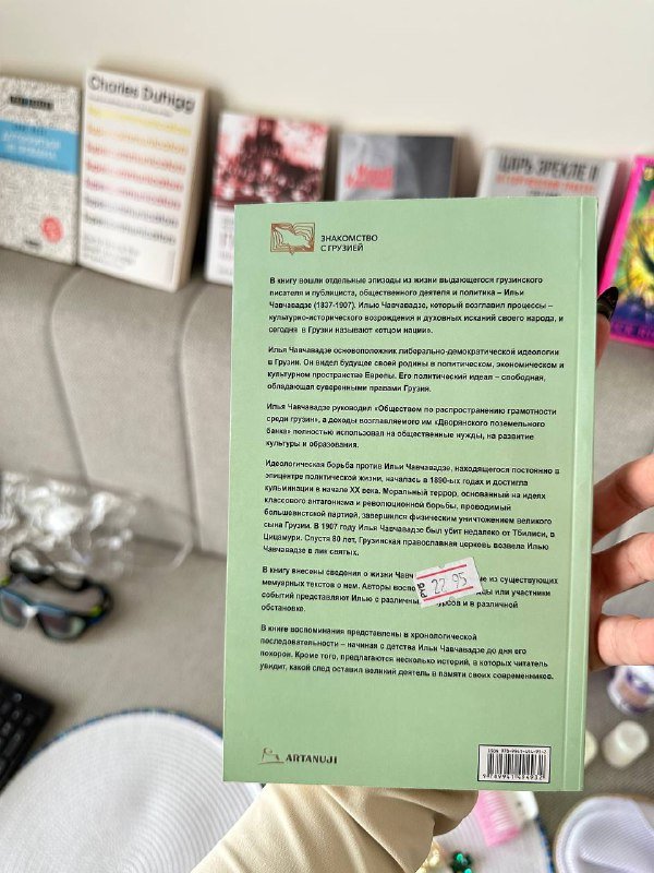 Книга Идея Новой Грузии Илья Чавчавадзе 2