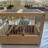 Клетка для попугая 3