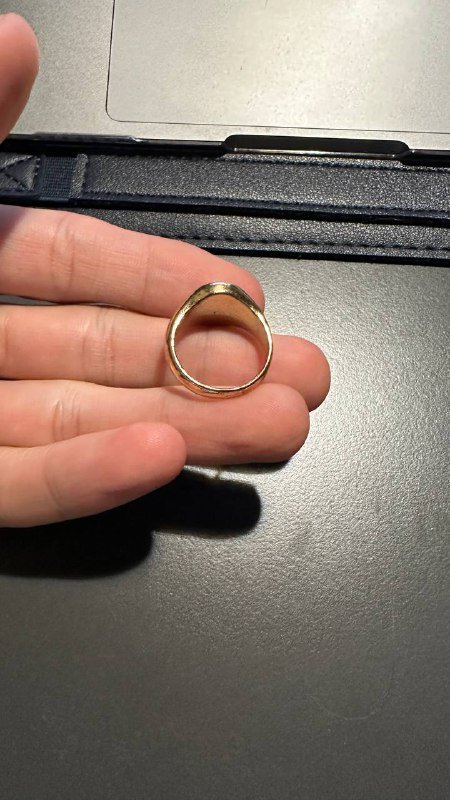 4 чехла для iPhone 14 pro max, мужское кольцо с львом 8