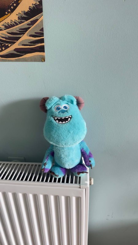 акула из икеи, плюшевый салливан, жираф ручная работа, весы xiaomi, коврик для йоги, французский ковер, книги по JS, цветные карандаши, пенал, ваза 2