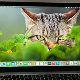 Apple MacBook Air 13 Retina 2020 5