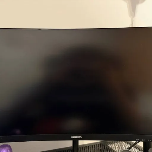 Curved Philips 241E monitor