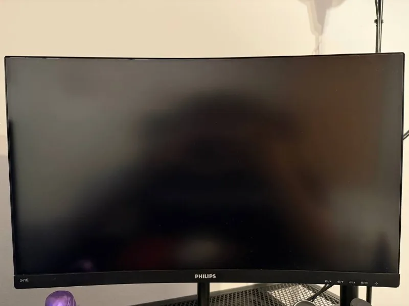 Curved Philips 241E monitor 1