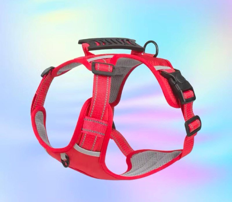 Шлейка для собаки размер S, дождевик для собаки размер XL