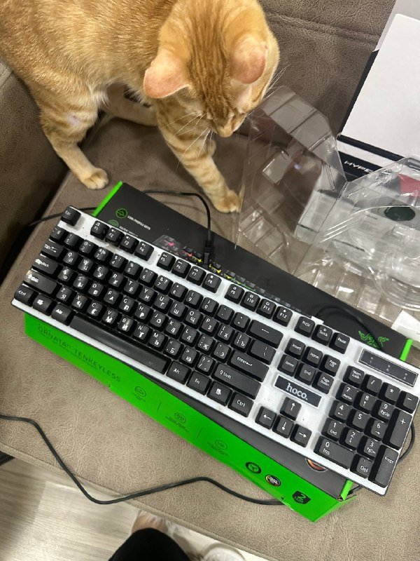 клавиатура с подсветкой, игровые наушники