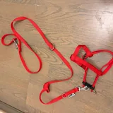 Корм Monge для кота 5