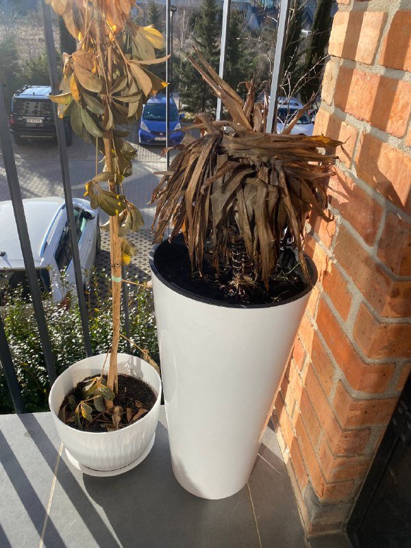 Белые горшки для цветов 30, 40, 50 GEL