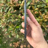 iPhone 15 Pro Max 512 ГБ 5