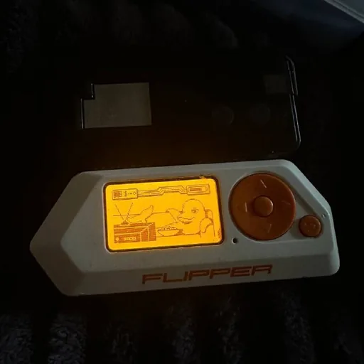 Flipper Zero, WiFi top module, 2 чехла