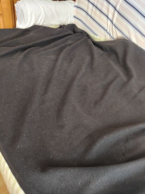 Три флисовых покрывала