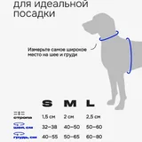 Анатомическая шлейка для собак 4