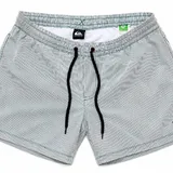 Мужские шорты Quiksilver 2