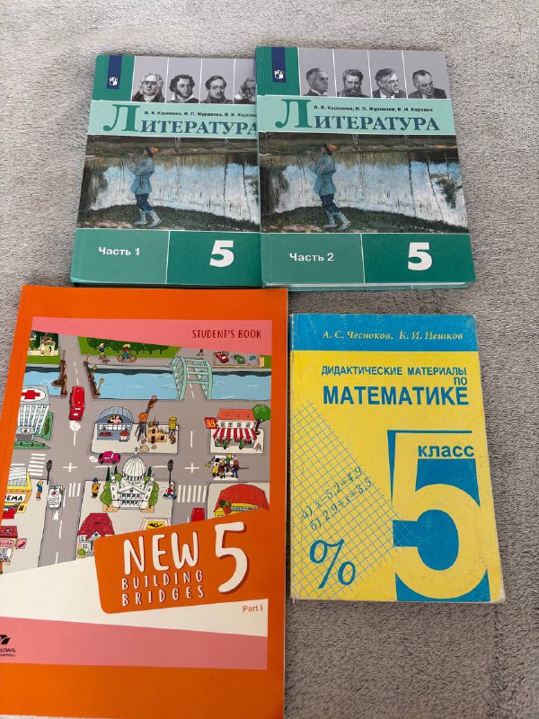 Учебники 4, 5 и 6 класс по разным предметам 5