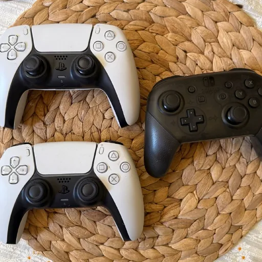 Sony DualSense PS5 (V1, V2) и Nintendo Switch Pro Controller