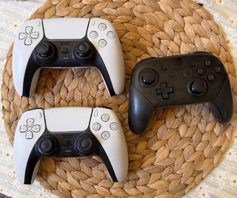 Sony DualSense PS5 (V1, V2) и Nintendo Switch Pro Controller 1