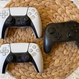 Sony DualSense PS5 (V1, V2) и Nintendo Switch Pro Controller 1